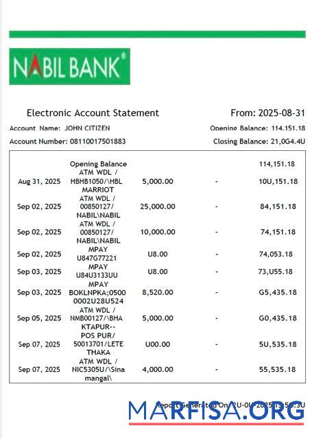 Printable Nepal Nabil Bank electronic account statement word real example